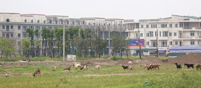 bán đất bình chánh